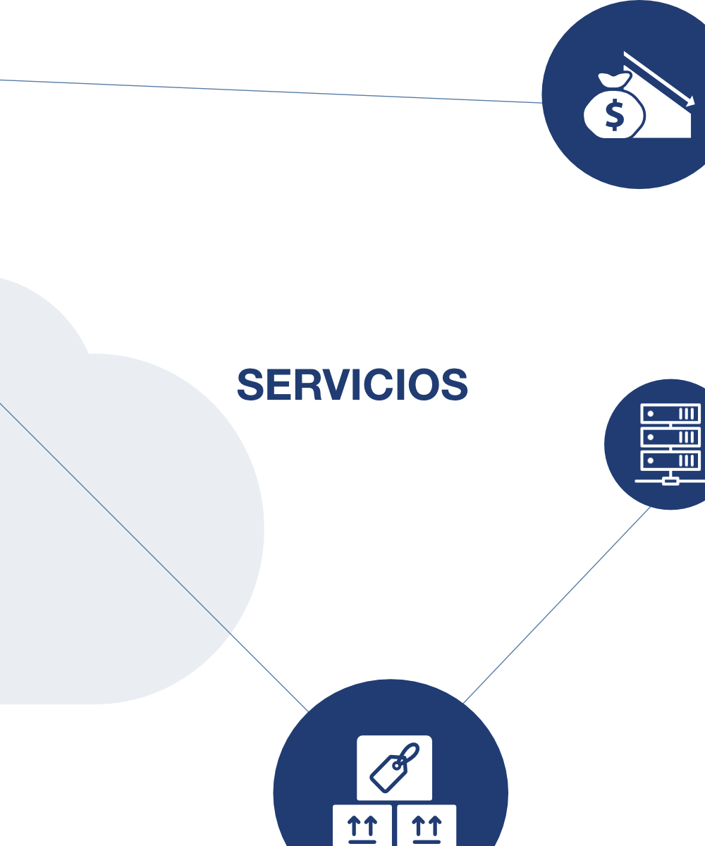 servicios